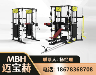 眉山多功能综合训练器